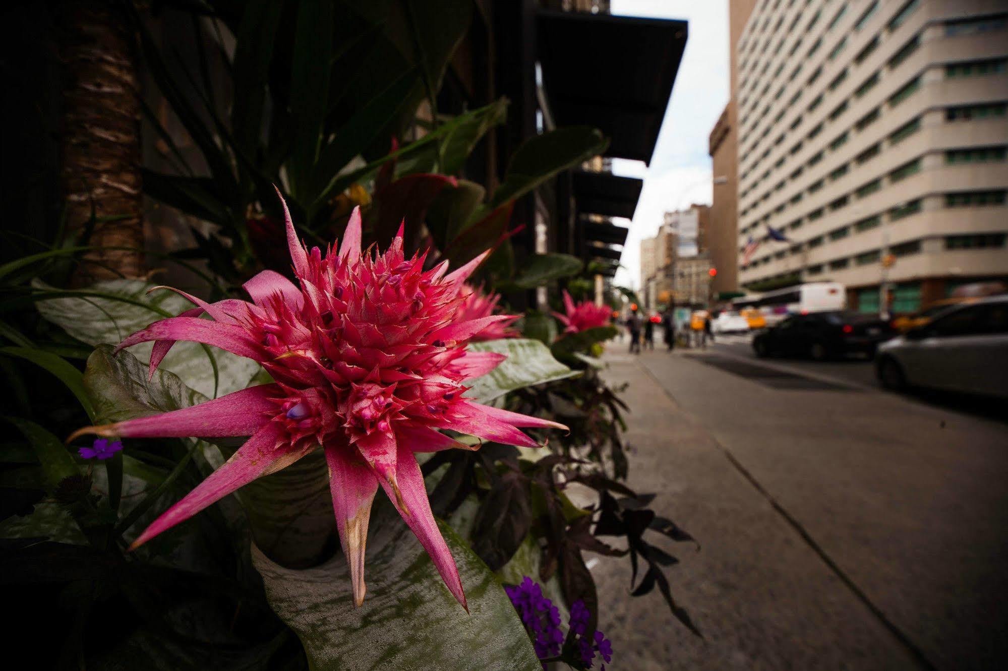 Duane Street Hotel Tribeca, Sonder By Marriott Bonvoy New York Eksteriør bilde